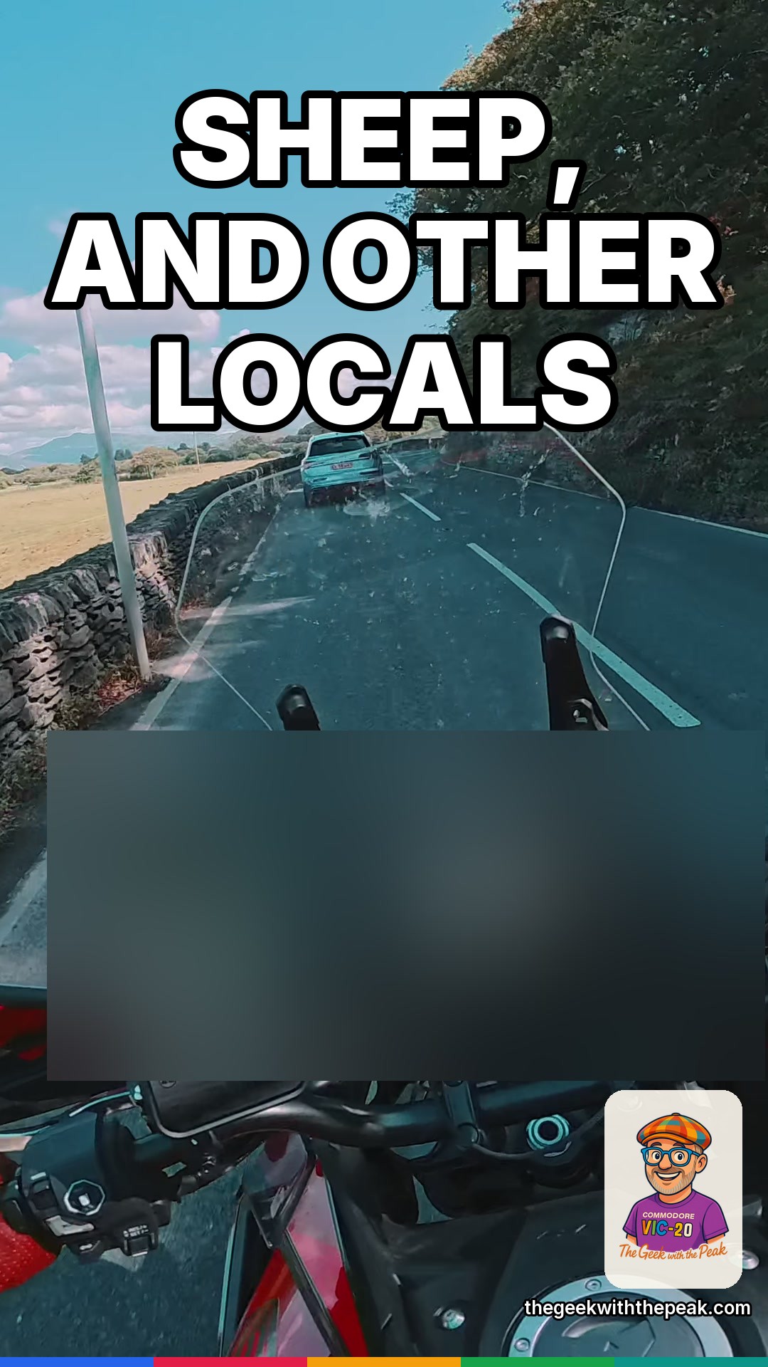 Sheep, and other locals